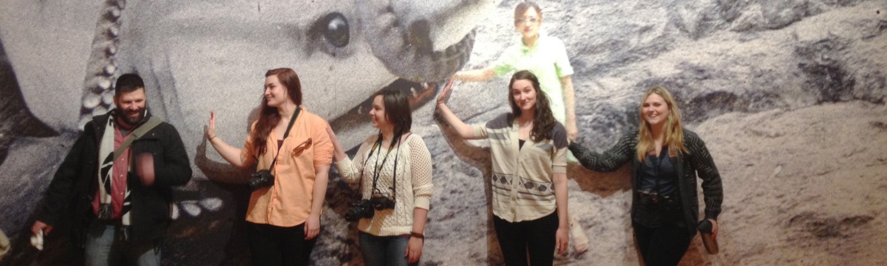 A photo of students lined up in front of a photo of a shark